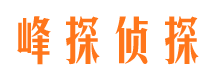 巴东找人公司